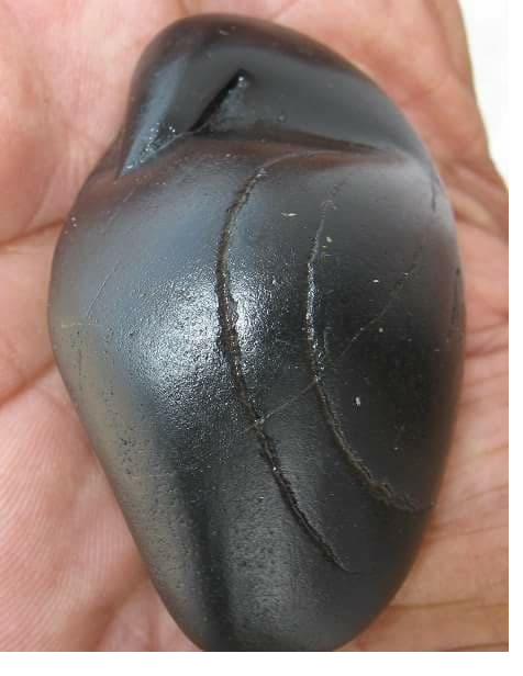 Garud-roop Shaligram