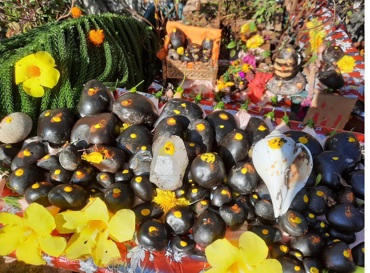 Shaligram shilas with haldi and kumkum offerings